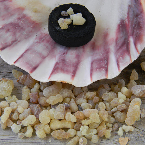 Photograph of frankincense resin with a charcoal briquet burning in a large shell