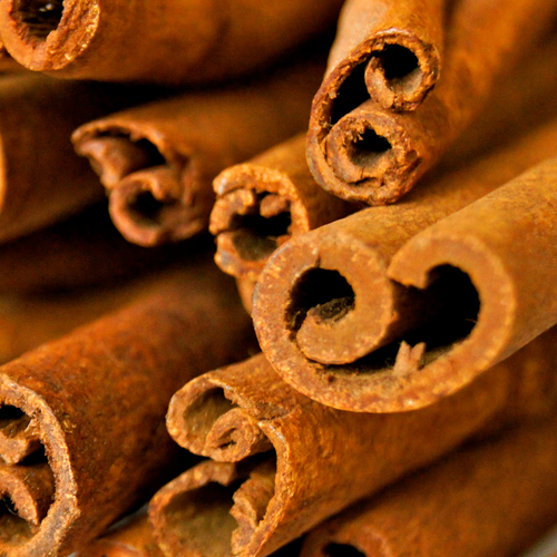 Photograph of sticks of cinnamon