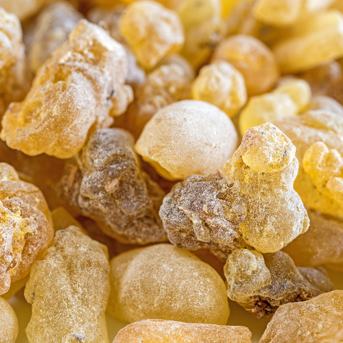 Photograph of frankincense